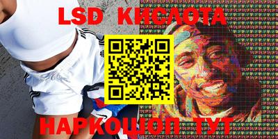 стаф Новозыбков