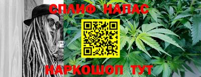 стаф Новозыбков