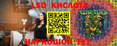 амф Новодвинск