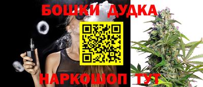 мдпв Новокубанск