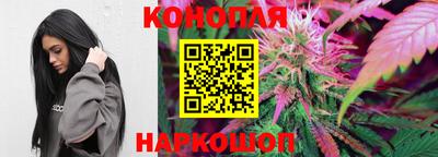 мдпв Новокубанск